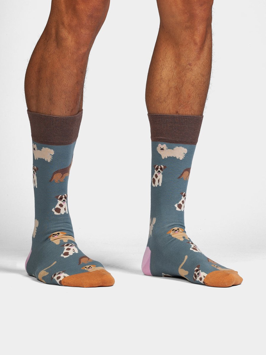 Socken - Geschenkbox Cute Animal Crew (3er Box) von DillySocks