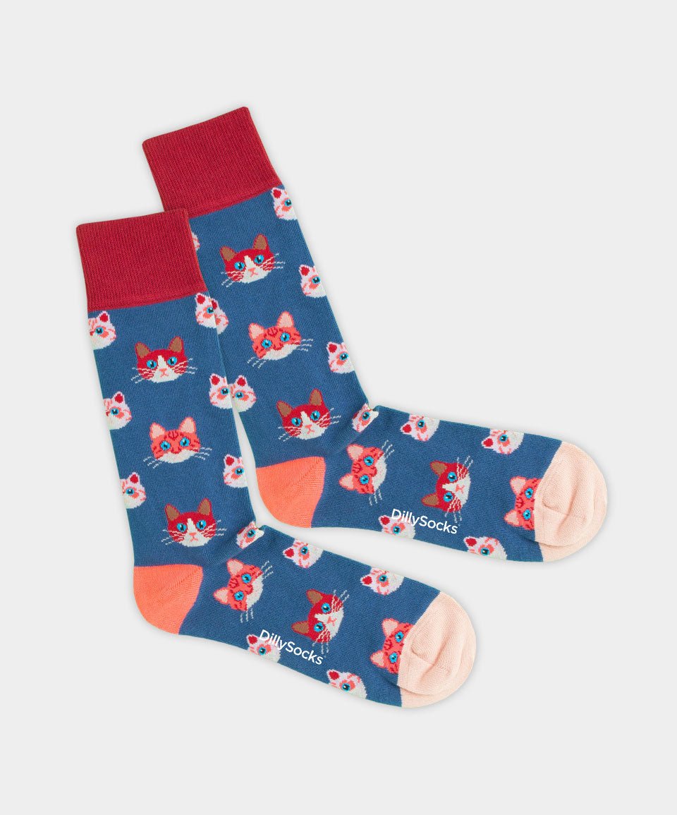 Socken - Geschenkbox Domestic Animals (3er Box) von DillySocks