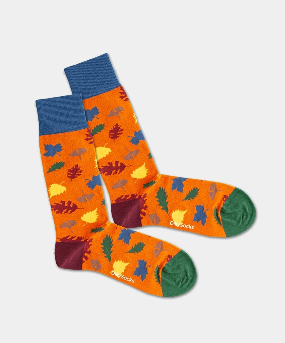 Socken - Geschenkbox Into The Wild (3er Box) von DillySocks