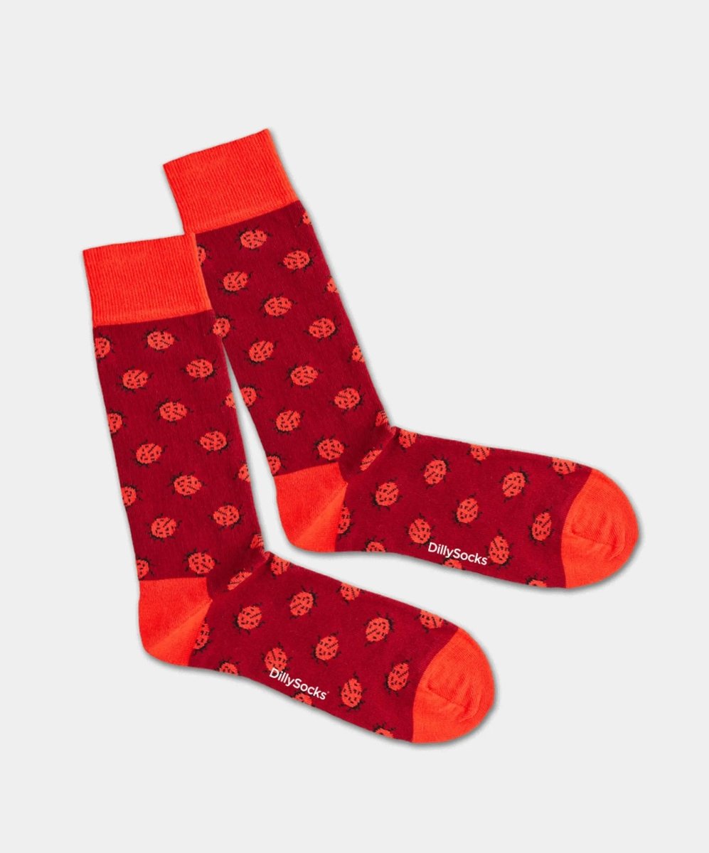 Socken - Geschenkbox Into The Wild (3er Box) von DillySocks