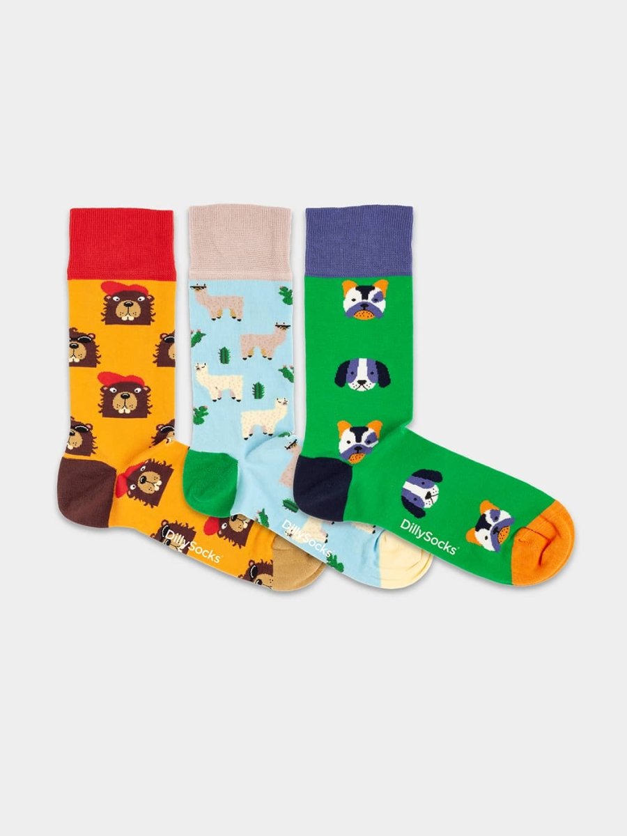 Socken - Geschenkbox Paws & Friends (3er Box) von DillySocks