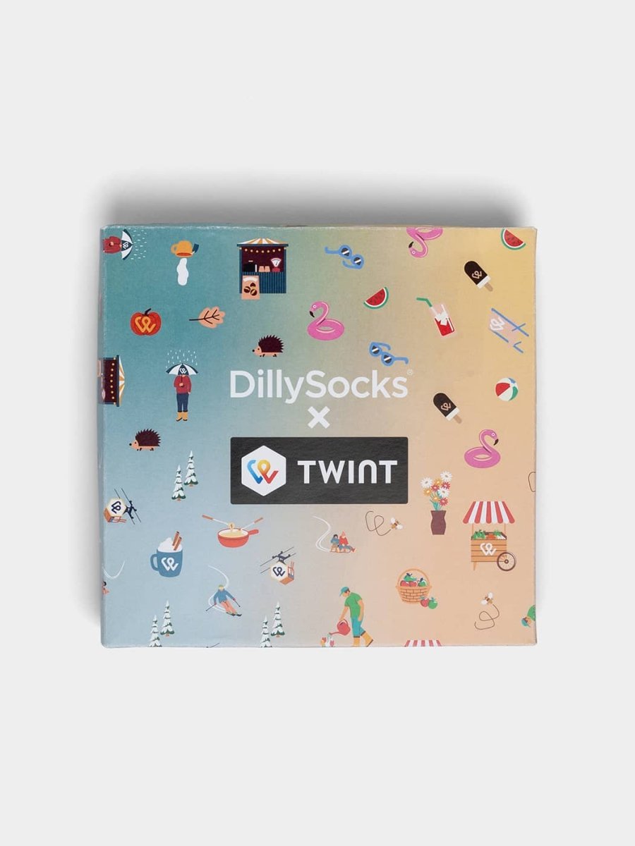 Socken - Geschenkbox TWINT 4 Season Box (4er Box) von DillySocks