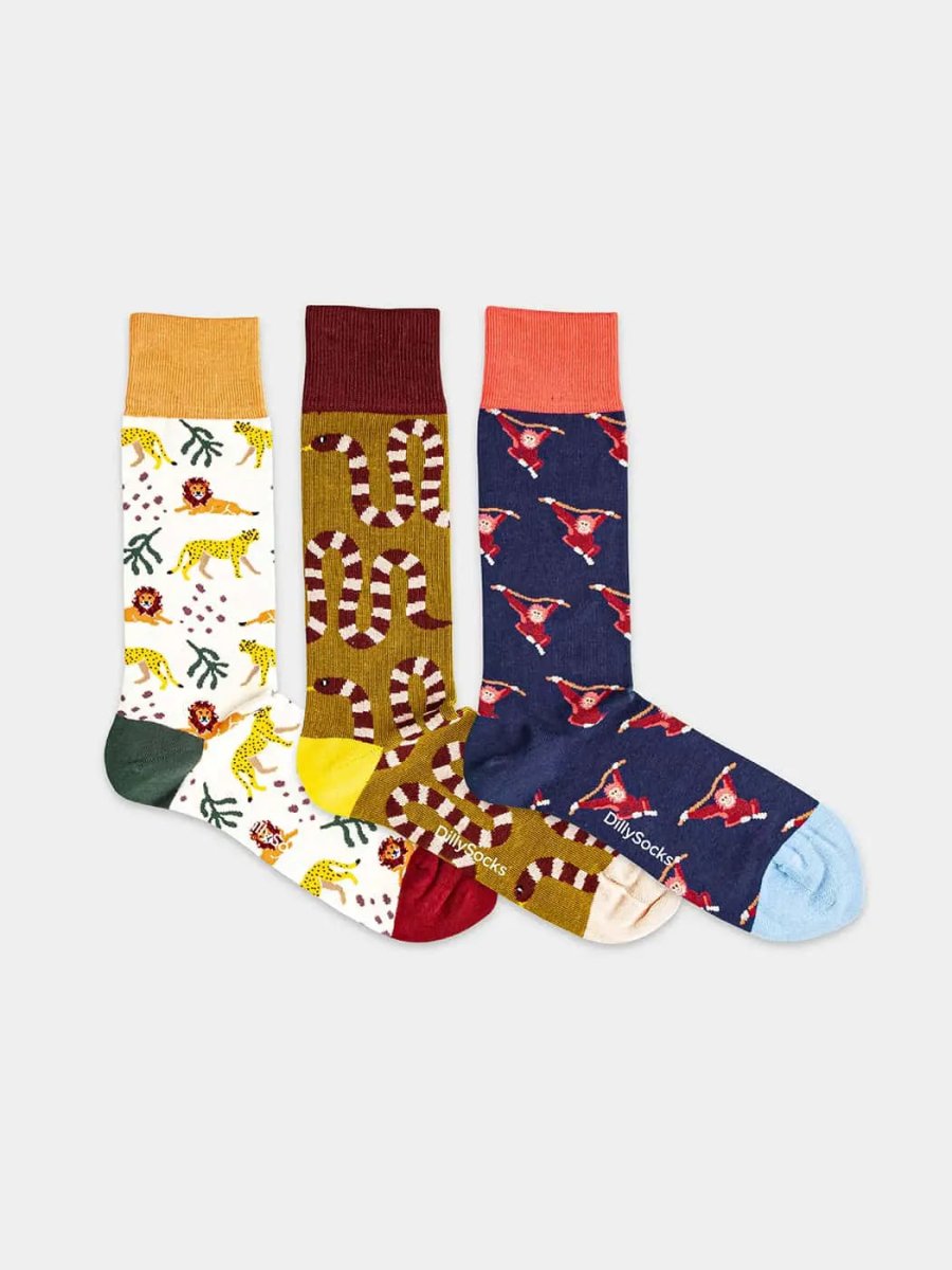 Socken - Geschenkbox Wild Animal (3er Box) von DillySocks