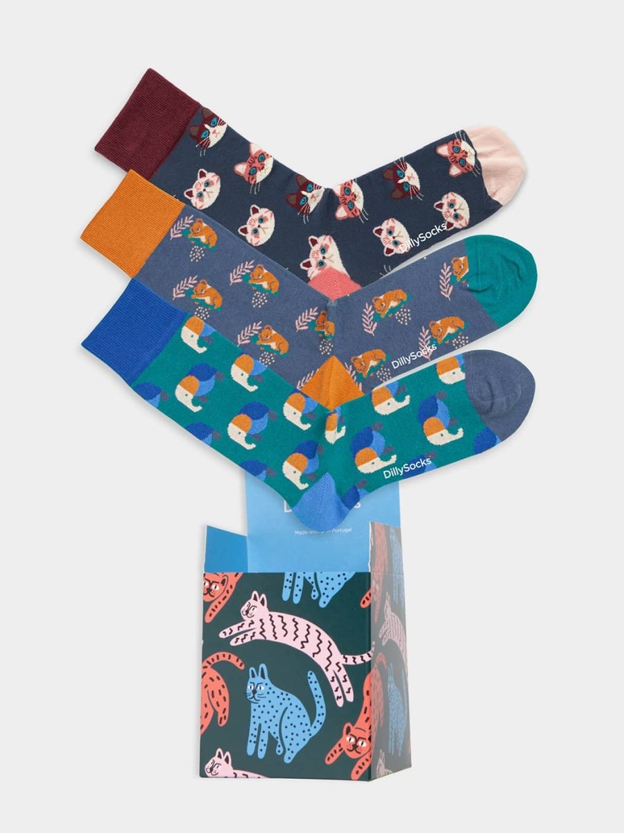Socken - Geschenkbox Wild Wonders (3er Box) von DillySocks