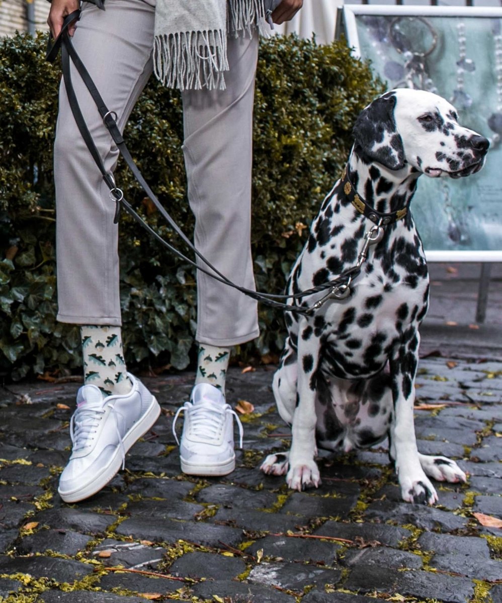 Socken Go Nuts von DillySocks