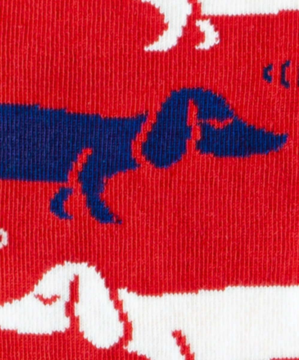 Socken Hot Dog von DillySocks