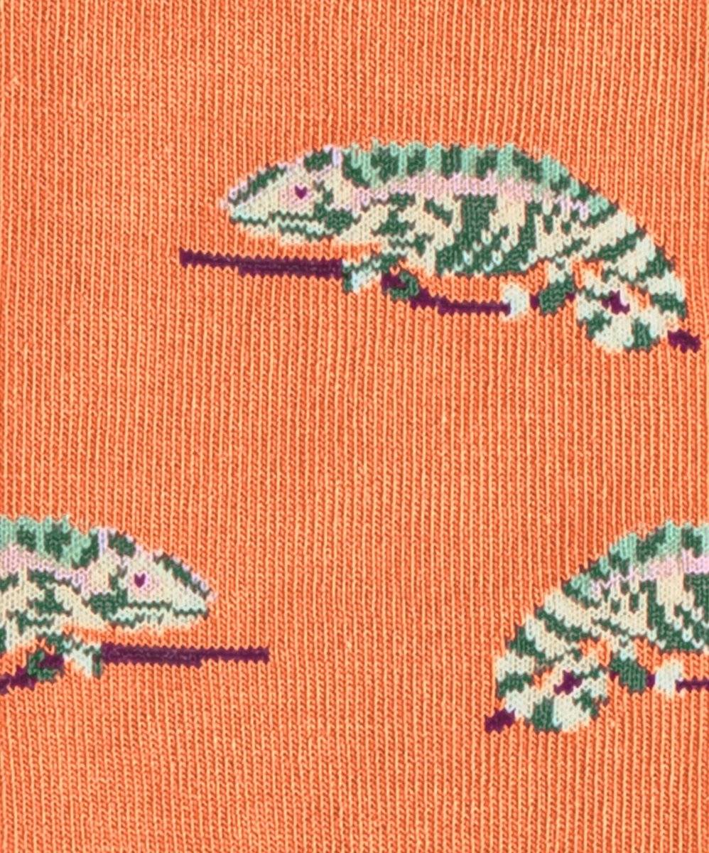 Socken Karmeleon von DillySocks