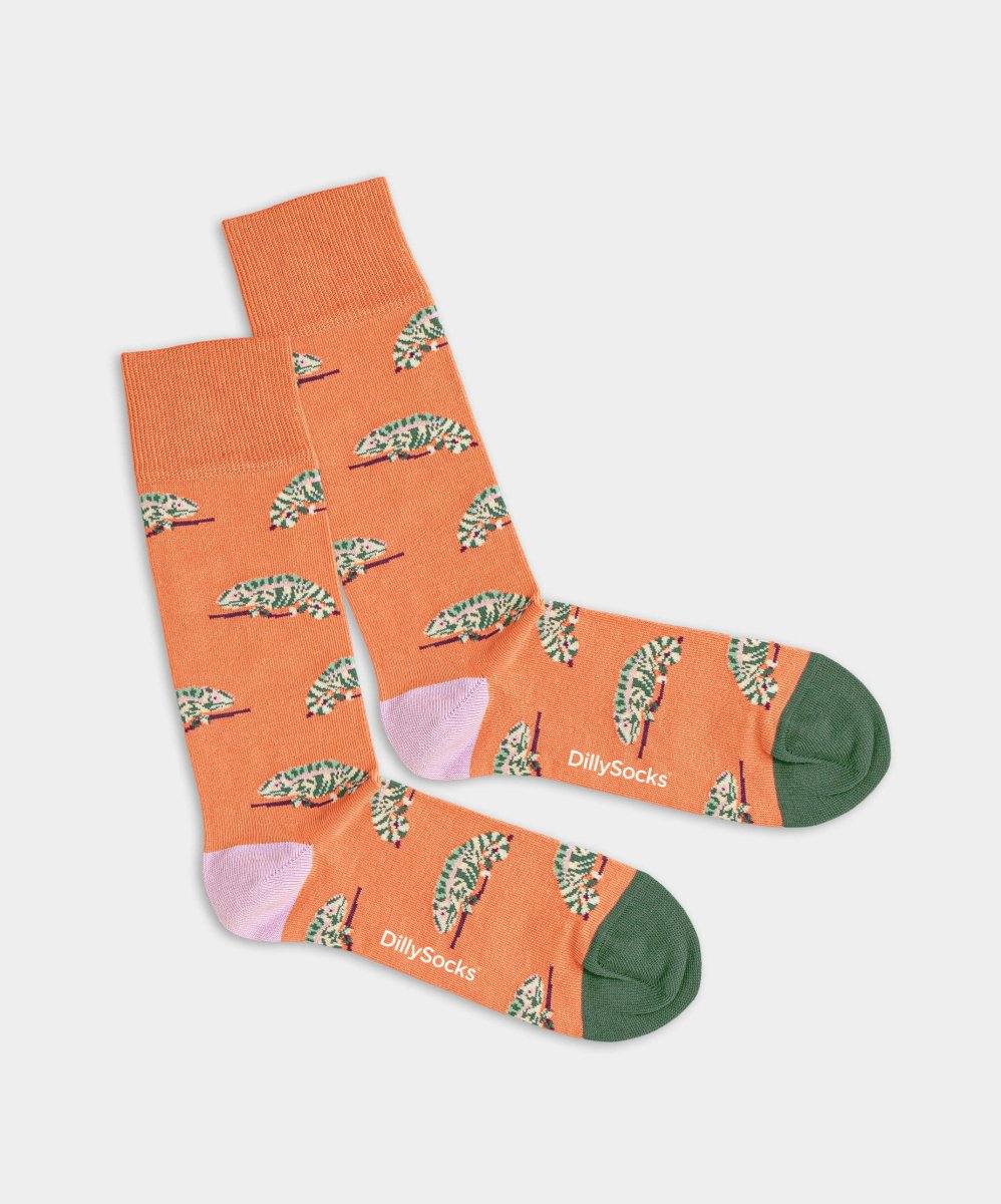 Socken Karmeleon von DillySocks