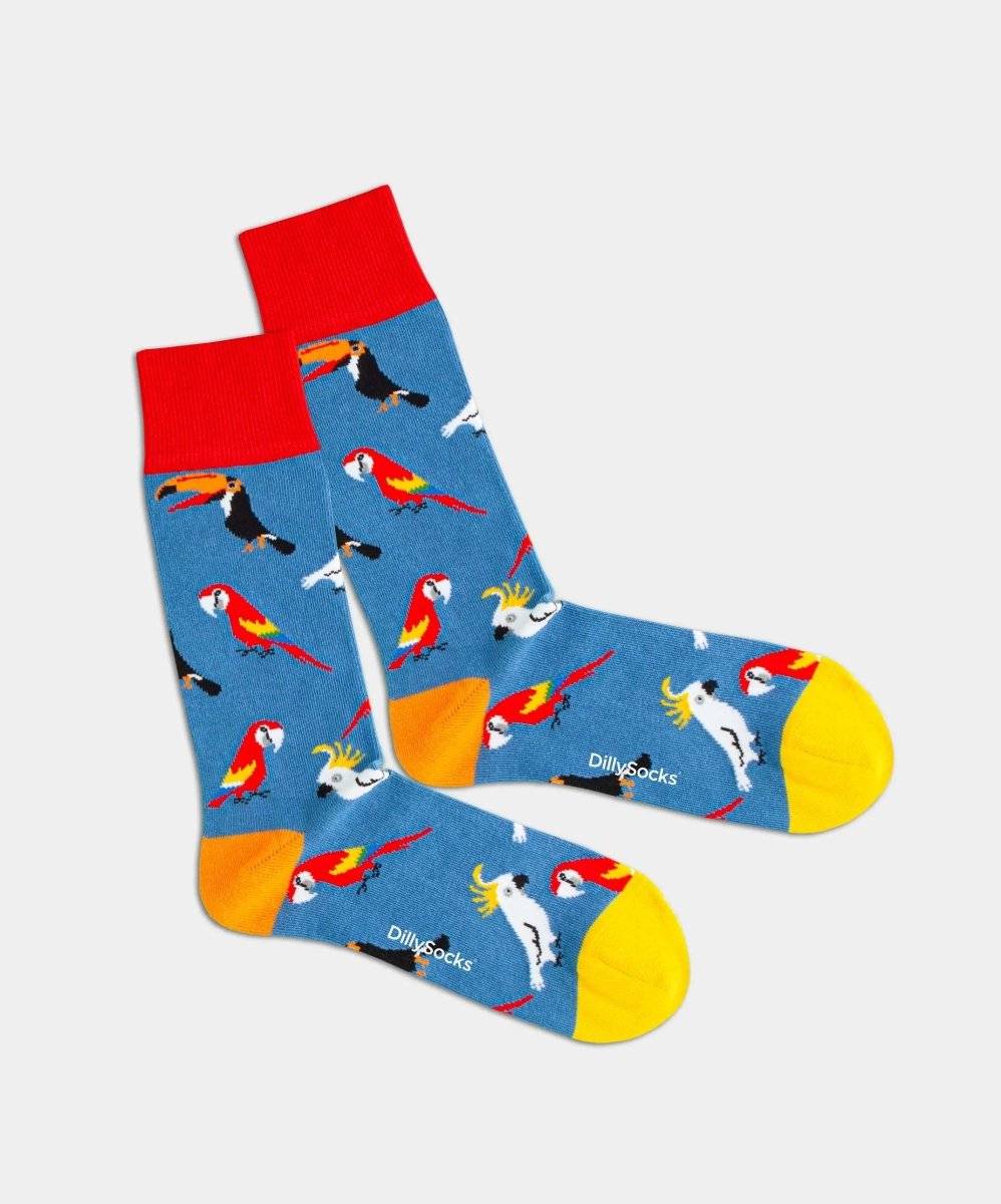 Socken Lake Aviary von DillySocks