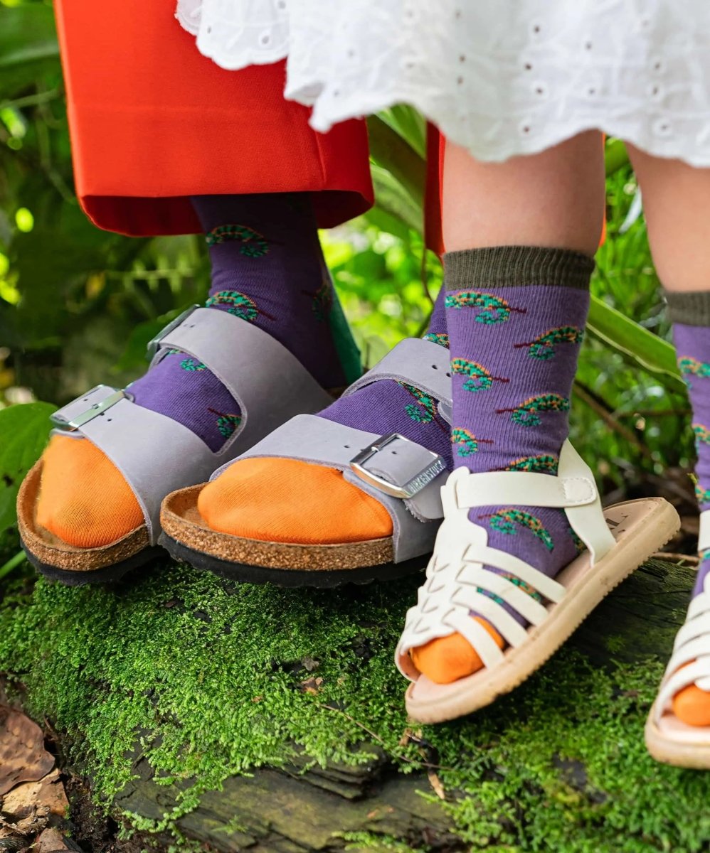 Socken Masoala Charmeleon von DillySocks