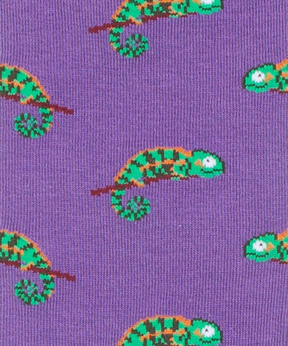 Socken Masoala Charmeleon von DillySocks
