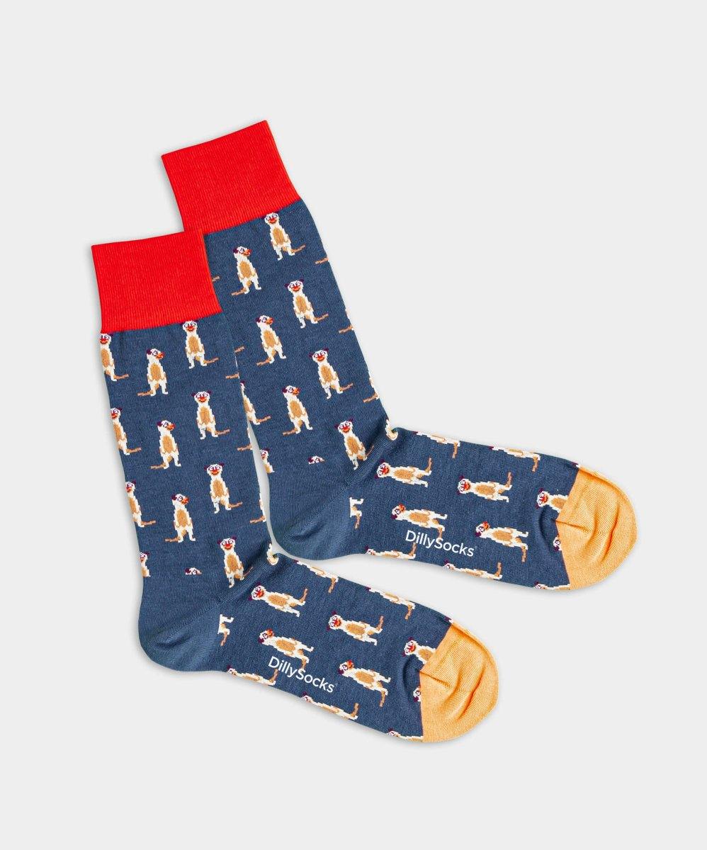 Socken Meerkat von DillySocks