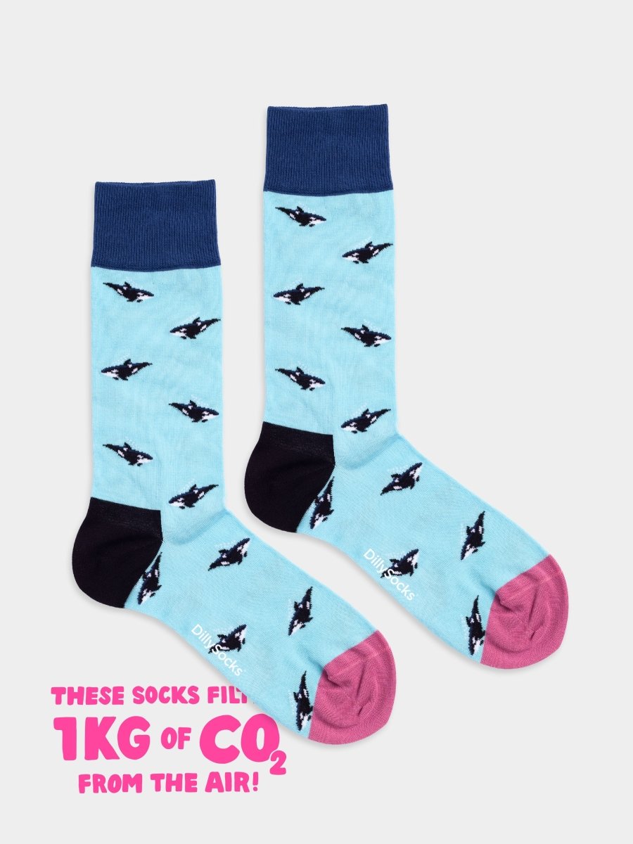 Socken Orca Fever von DillySocks