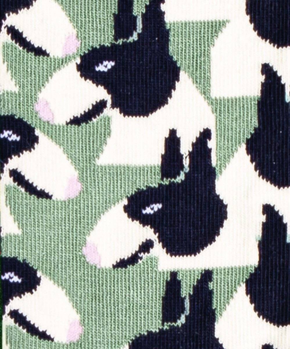 Socken Pit Bull von DillySocks