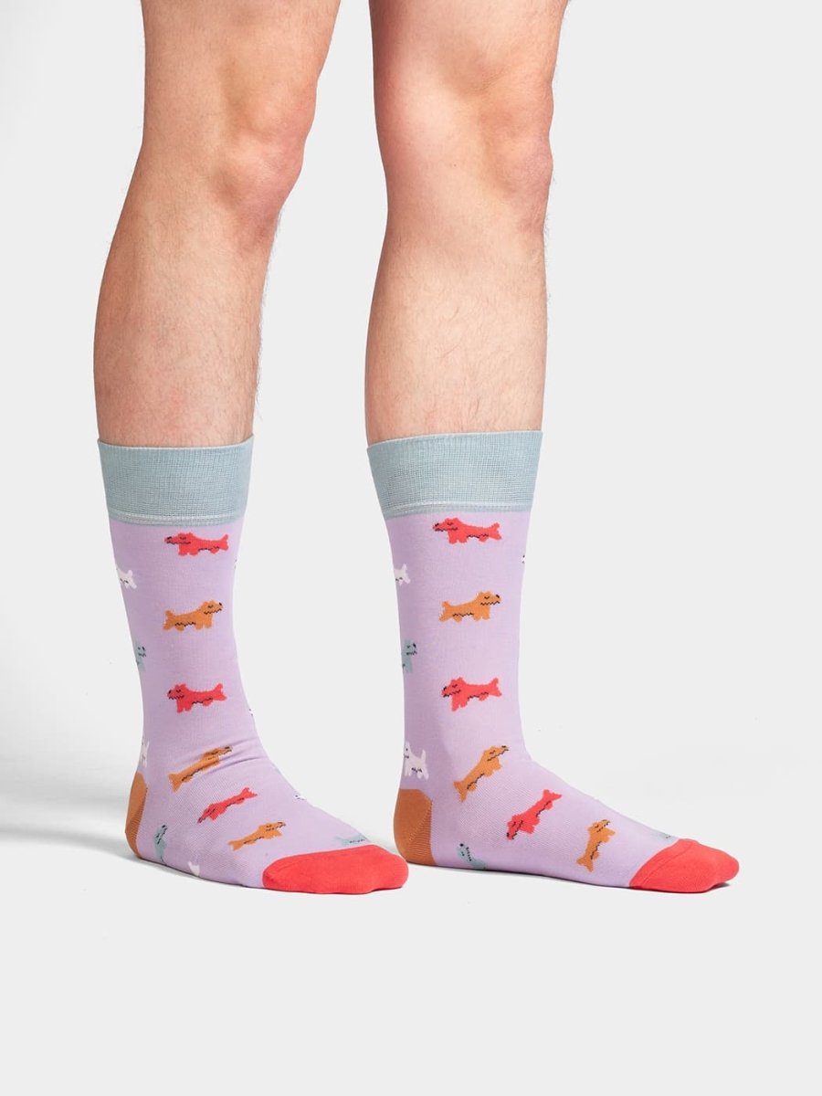 Socken Puppy Parade von DillySocks