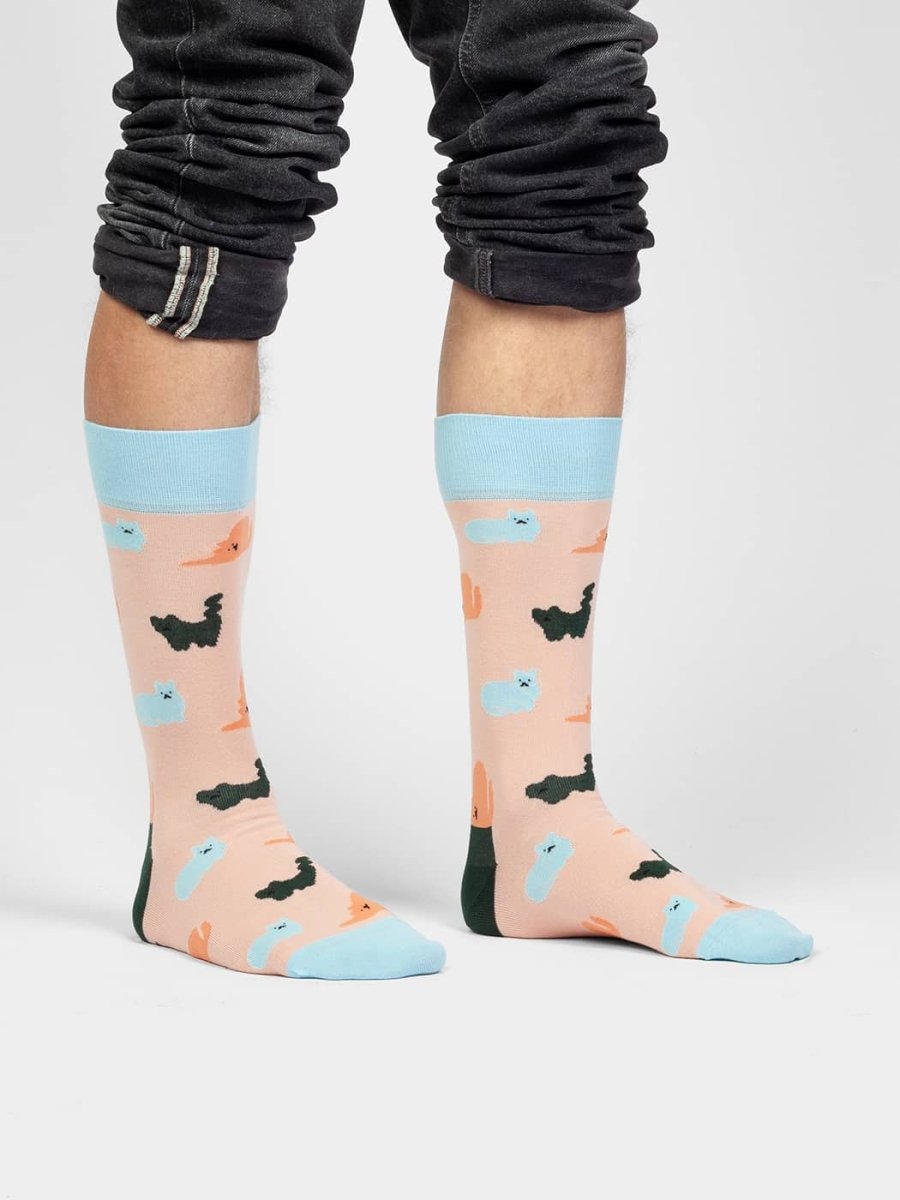 Socken Purrrfect von DillySocks