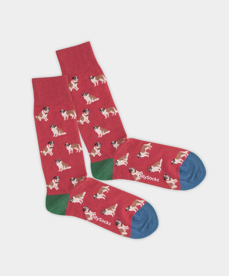 Socken Rasp Barry von DillySocks