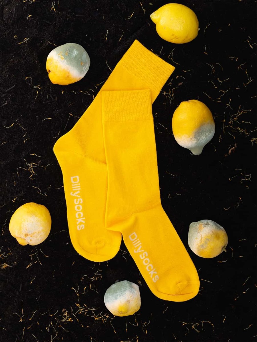 Socken - Sets D - Compose Sunny Yellow (2er Pack) von DillySocks