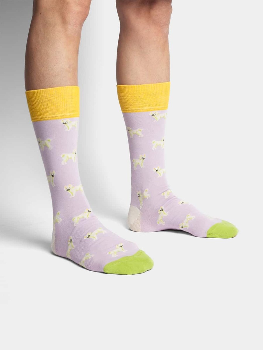 Socken Smiling Dog von DillySocks
