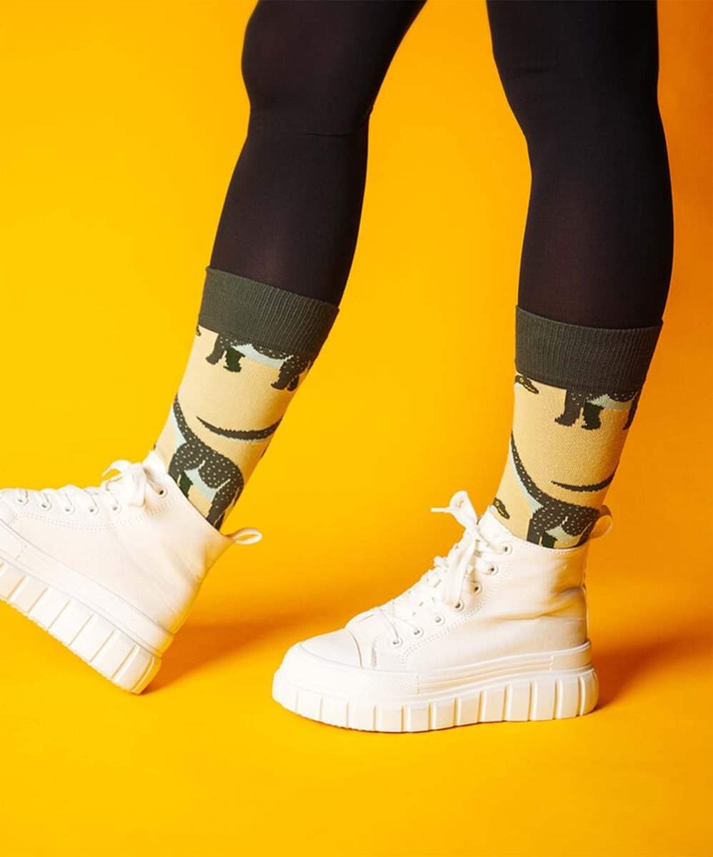 Socken Stone Age Dino von DillySocks