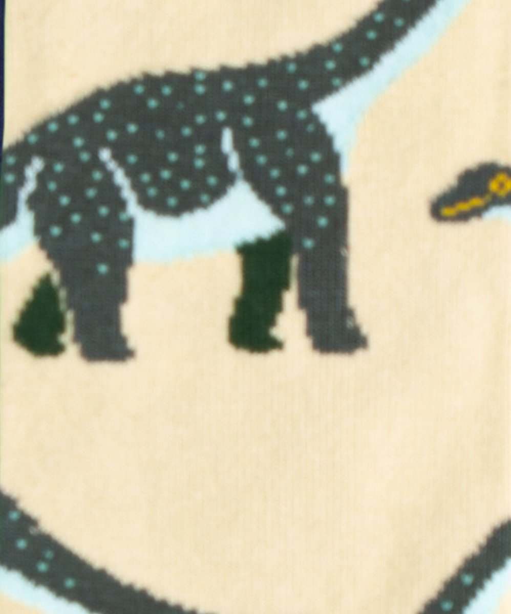 Socken Stone Age Dino von DillySocks