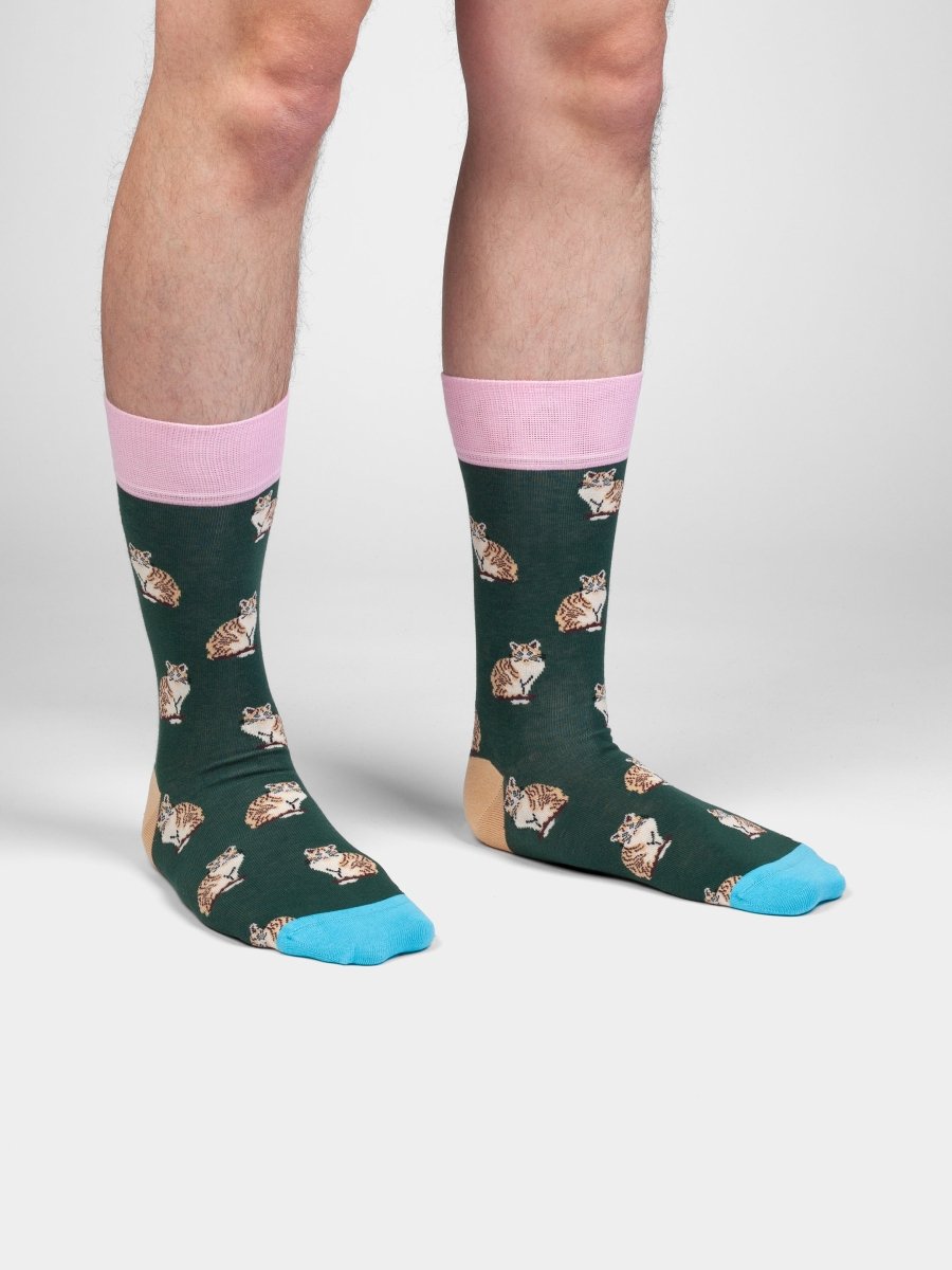 Socken Tiger Tails von DillySocks
