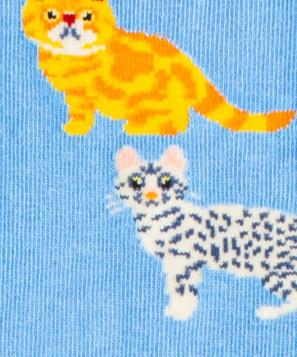 Socken Water Cats von DillySocks