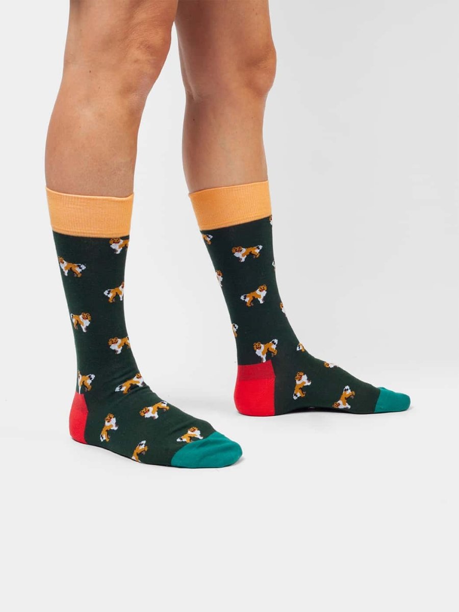 Socken Who Let The Dogs Out von DillySocks