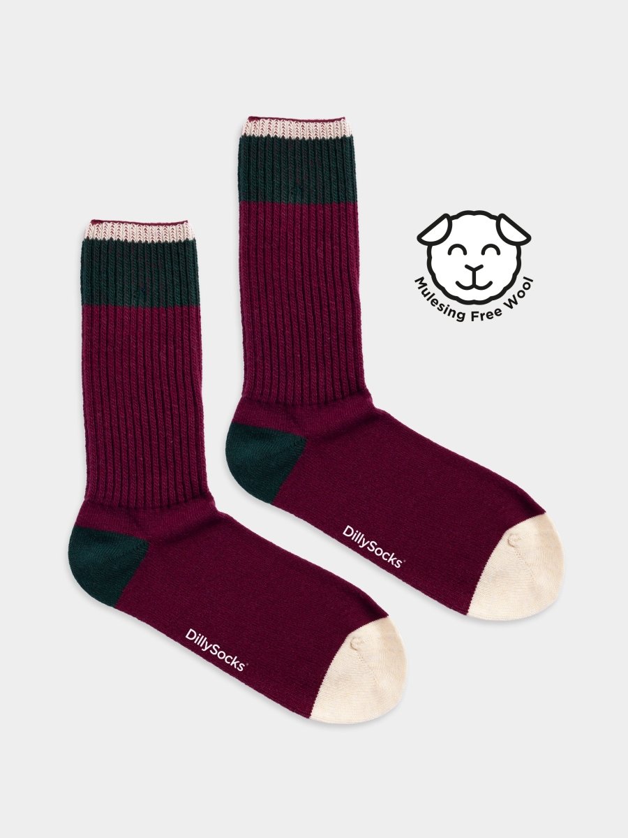 Wollsocken Cozy Lina von DillySocks